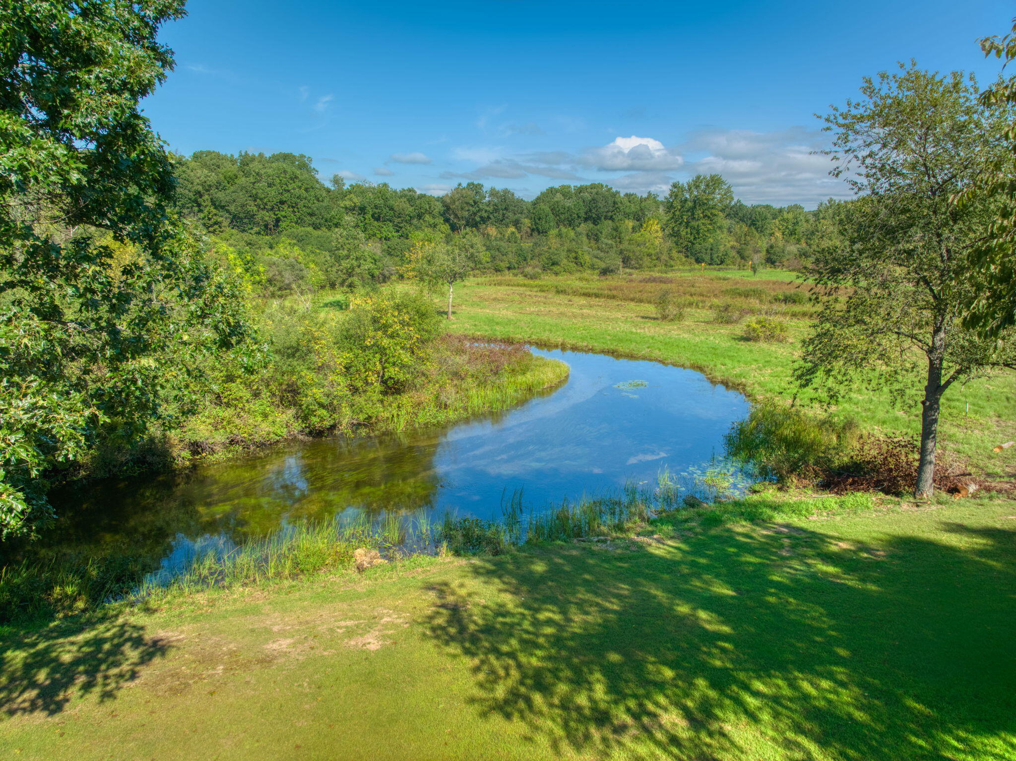 0 Albion Road Concord, MI 49237 - Photo 10 of 27 10-web-or-mls-DJI_0568