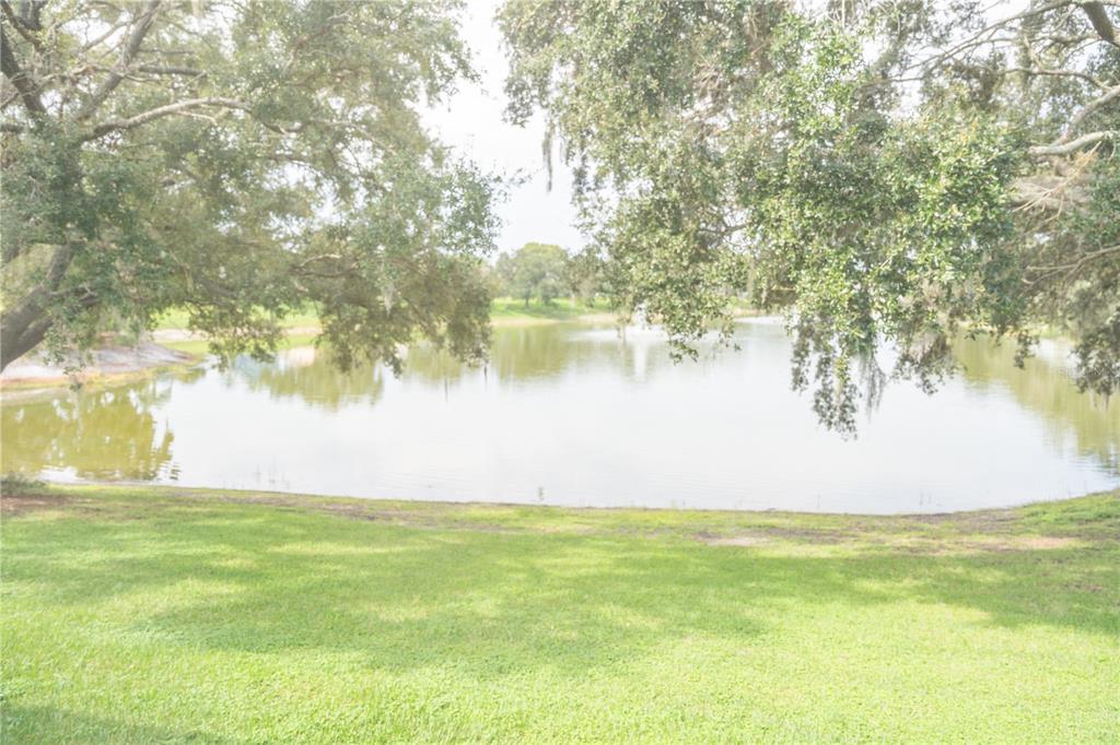 714 Bayhill Drive Lady Lake, FL 32159 - Photo 3 of 21