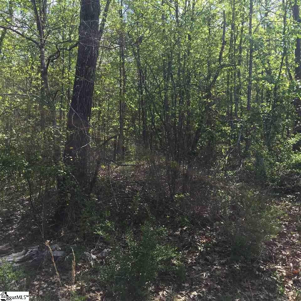 14 Dean Williams Road Travelers Rest, SC 29690 - Photo 1 of 2