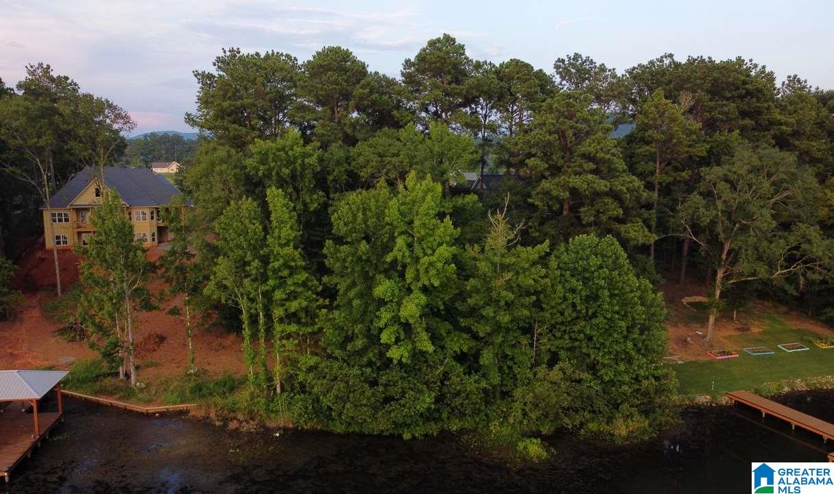 Lot 23 Cove Road, Unit 23 Sylacauga, AL 35151 - Photo 6 of 13