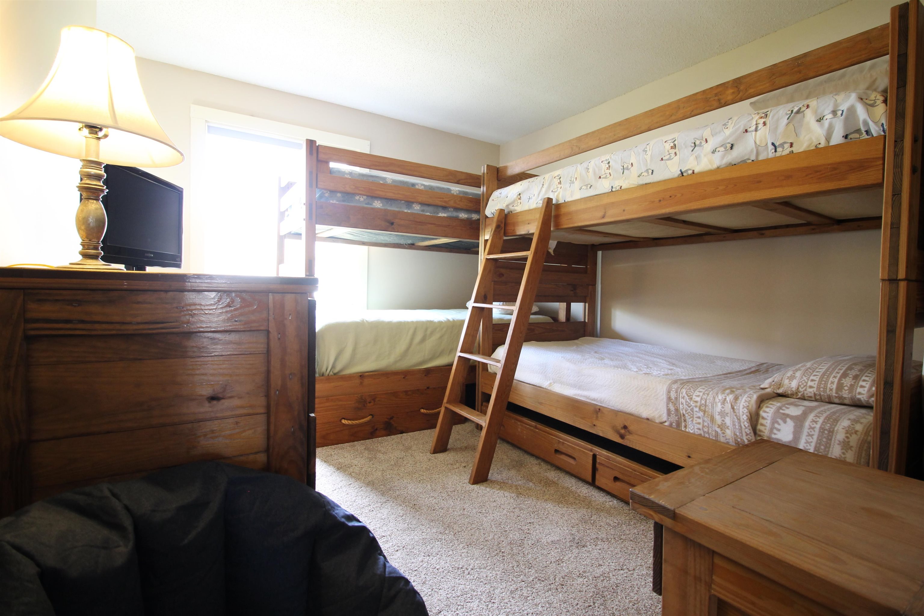 11 Sunnyside Way, Unit 9 Waterville Valley, NH 03215 - Photo 13 of 18