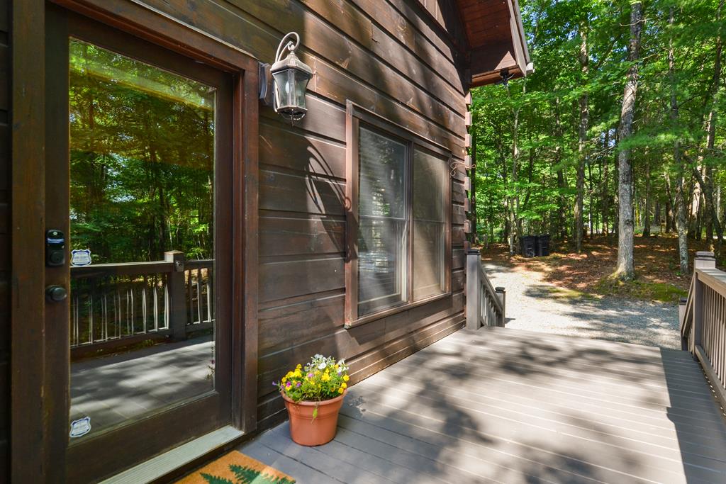 63 Bushy Head Road Cherry Log, GA 30522 - Photo 3 of 47
