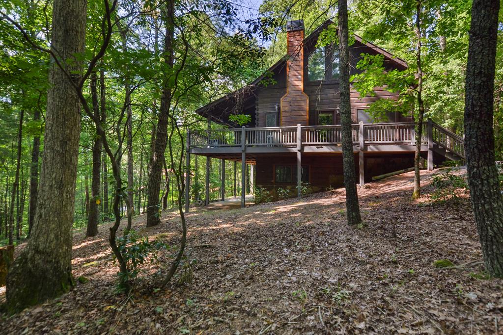 63 Bushy Head Road Cherry Log, GA 30522 - Photo 9 of 47