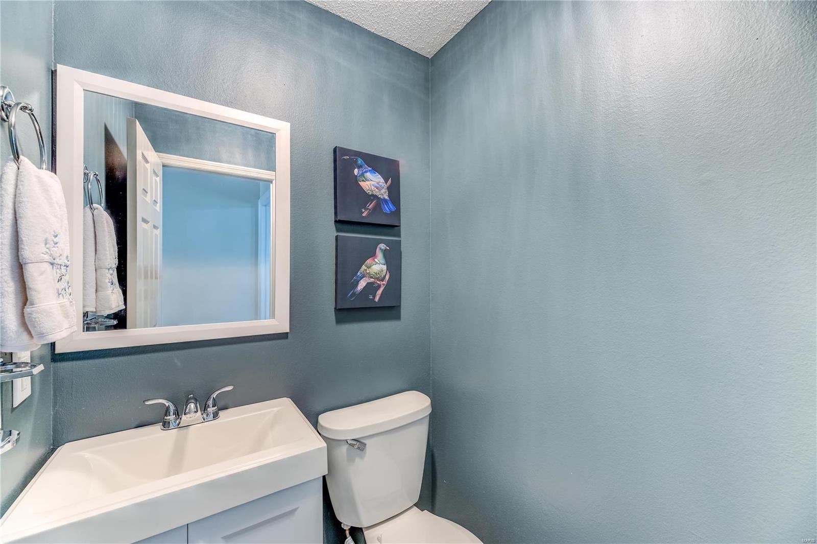 12 Lippizan Road St. Peters, MO 63376 - Photo 10 of 21