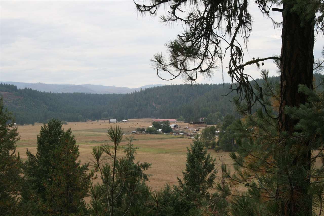 0 Lyons Hill Road Springdale, WA 99173 - Photo 8 of 10