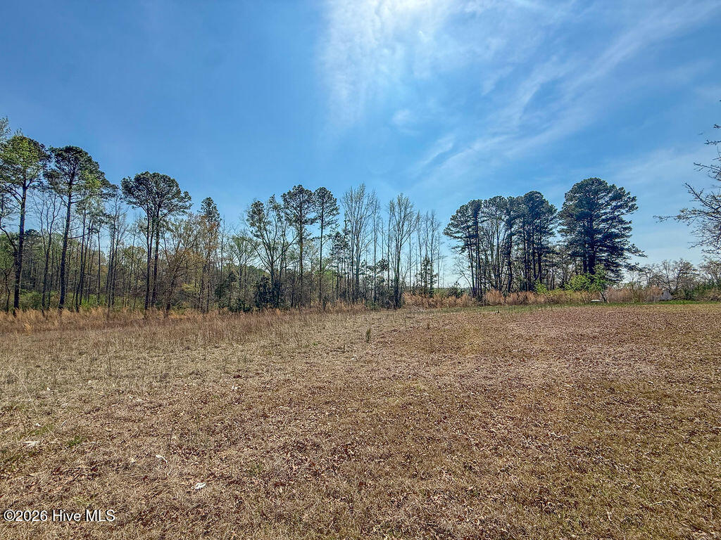 2 Connell Road Carthage, NC 28327 - Photo 11 of 17 11