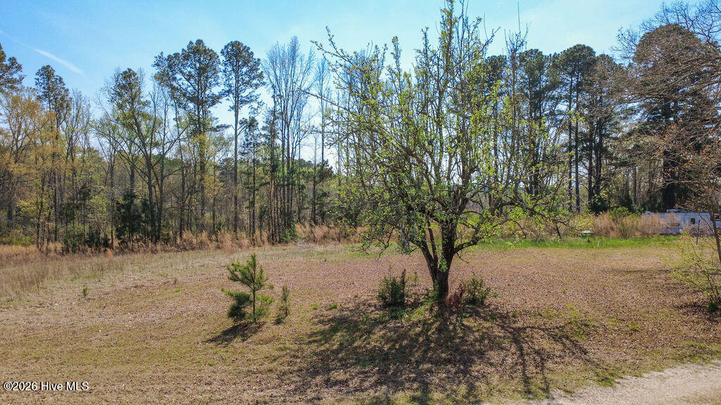 2 Connell Road Carthage, NC 28327 - Photo 8 of 17 8