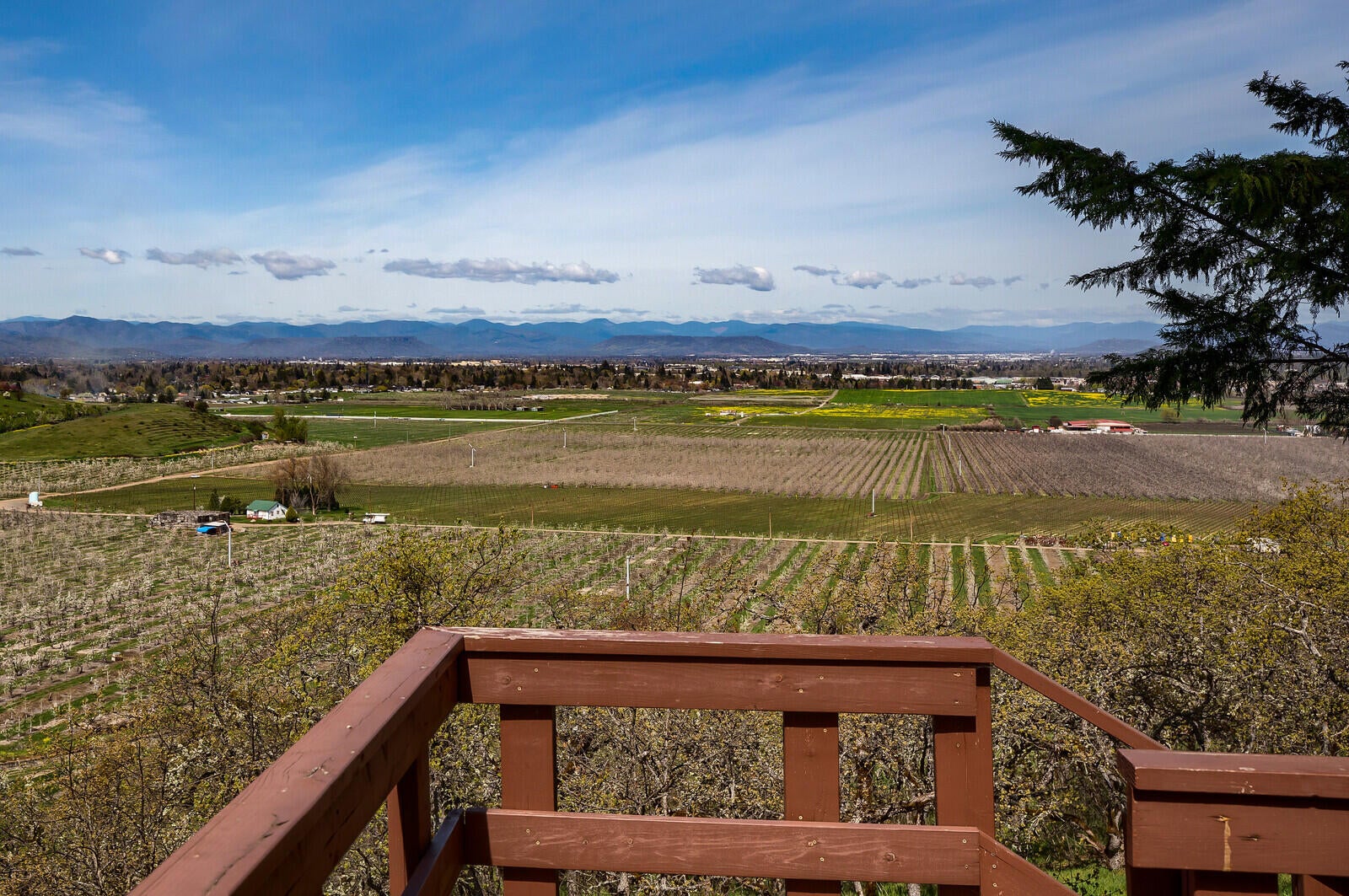 842 Carpenter Hill Road Medford, OR 97501 - Photo 93 of 97 113_CH_113_mls