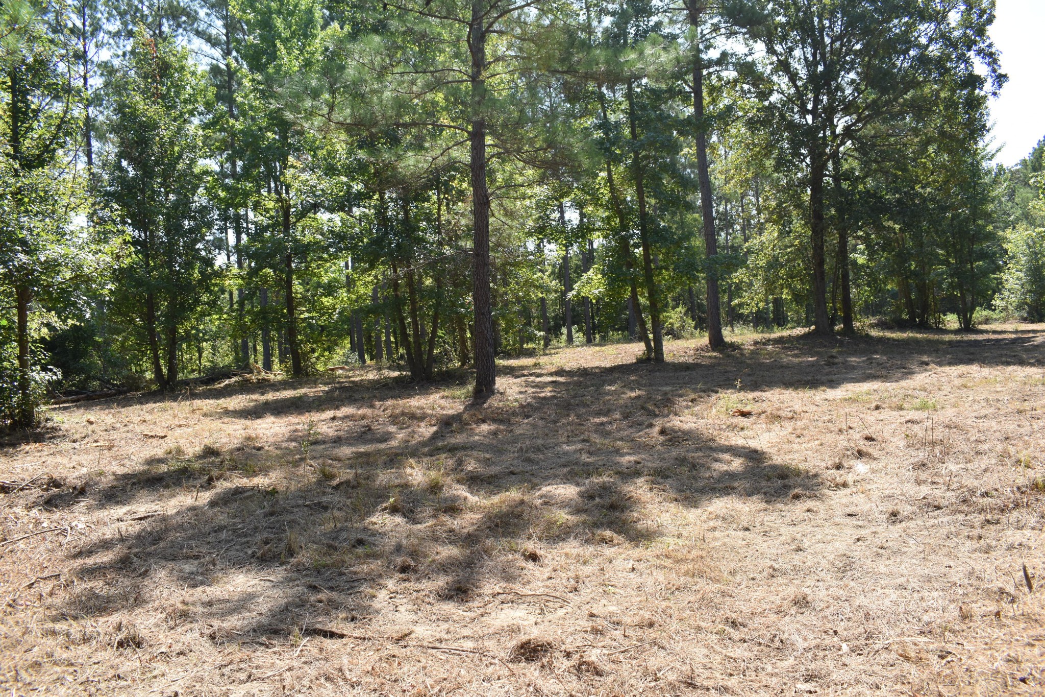 6 Charles Road Decatur, TN 37322 - Photo 11 of 18 Gallery Image 11