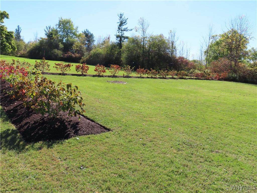 6130 Clinton Street Elma, NY 14059 - Photo 20 of 21 Yard