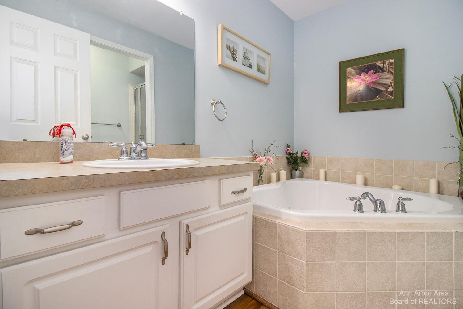 49068 Hawksburry Road Canton, MI 48188 - Photo 9 of 19 Photo 9