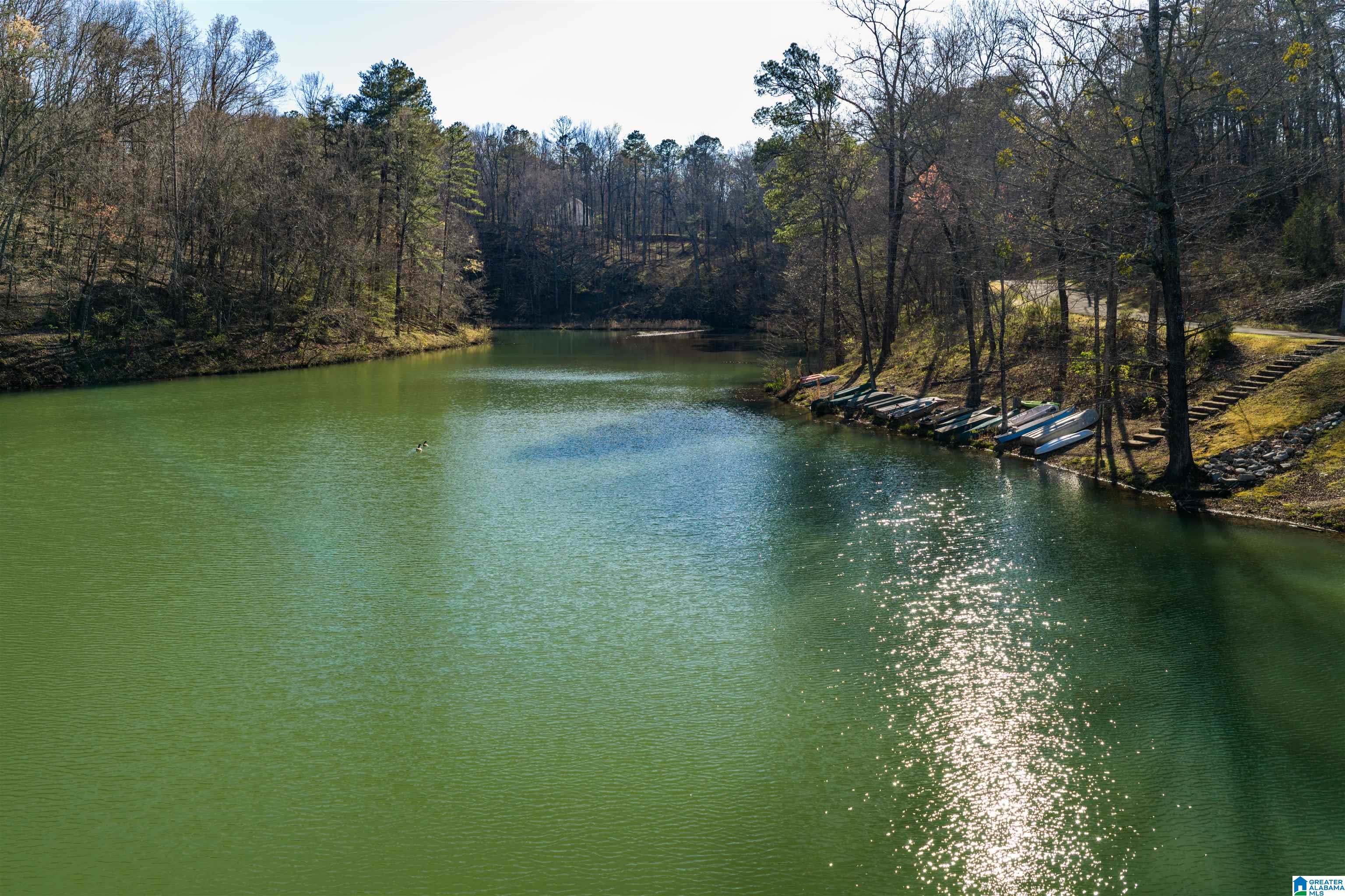 100 Randolph Road Hayden, AL 35079 - Photo 64 of 73