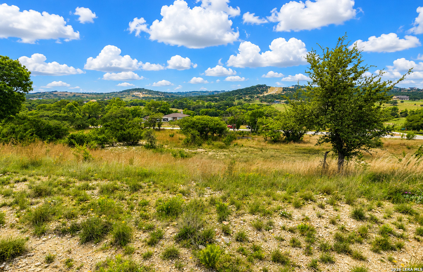 Tbd Falling Oak Blanco, TX 78606 - Photo 10 of 21