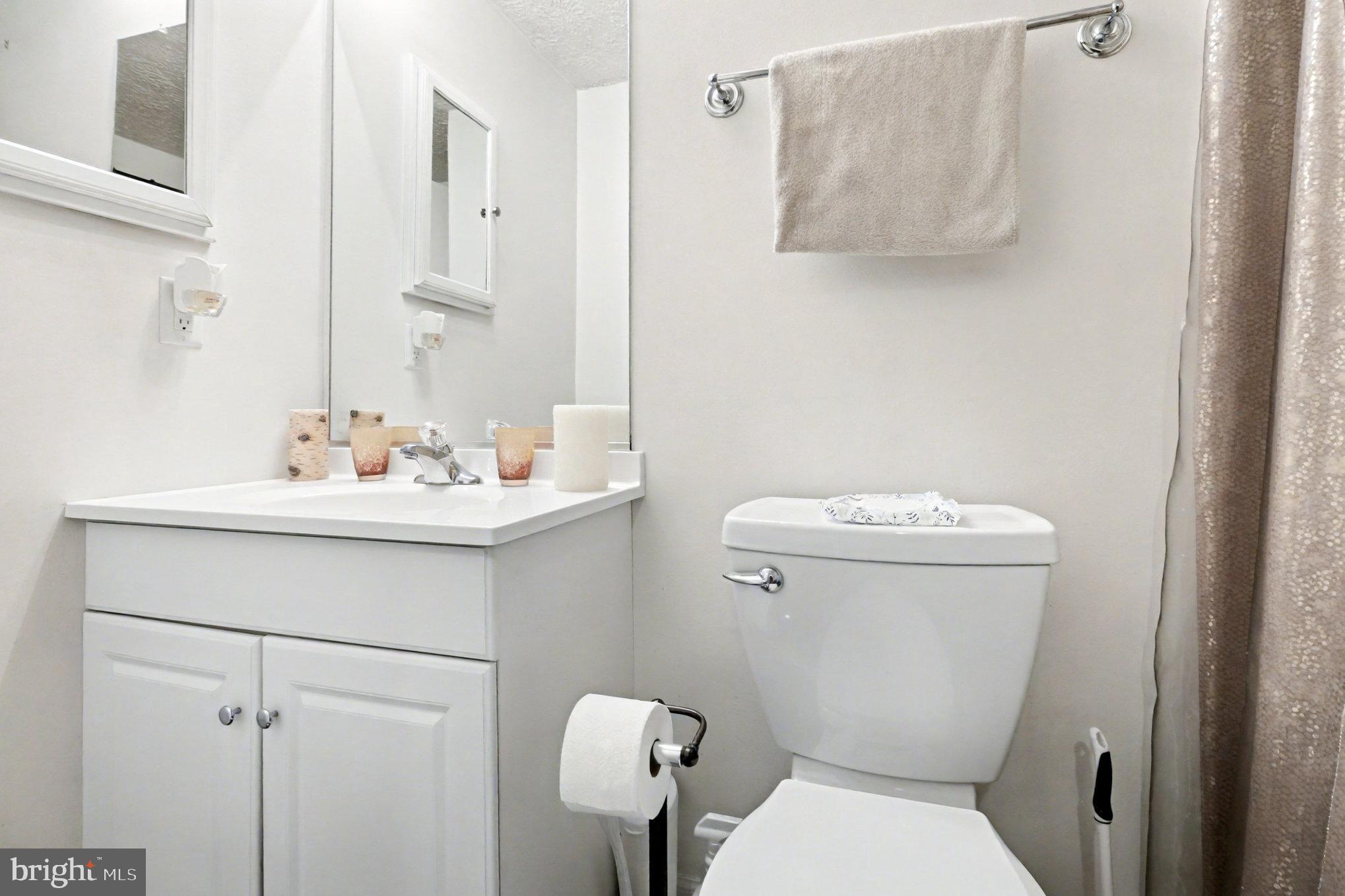 296 Devon Drive Ruther Glen, VA 22546 - Photo 13 of 22 Hall bath