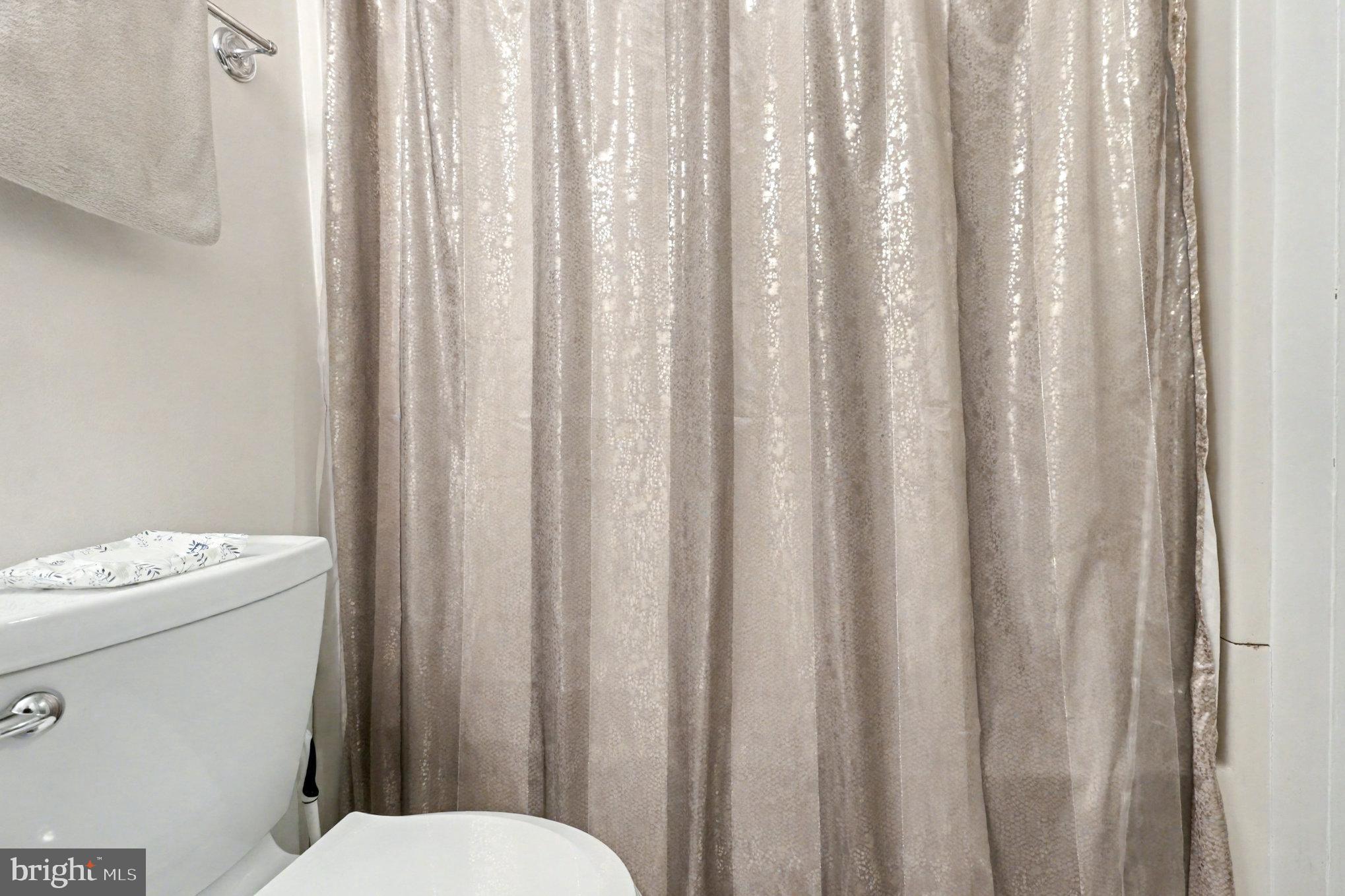 296 Devon Drive Ruther Glen, VA 22546 - Photo 14 of 22 Hall bath-shower