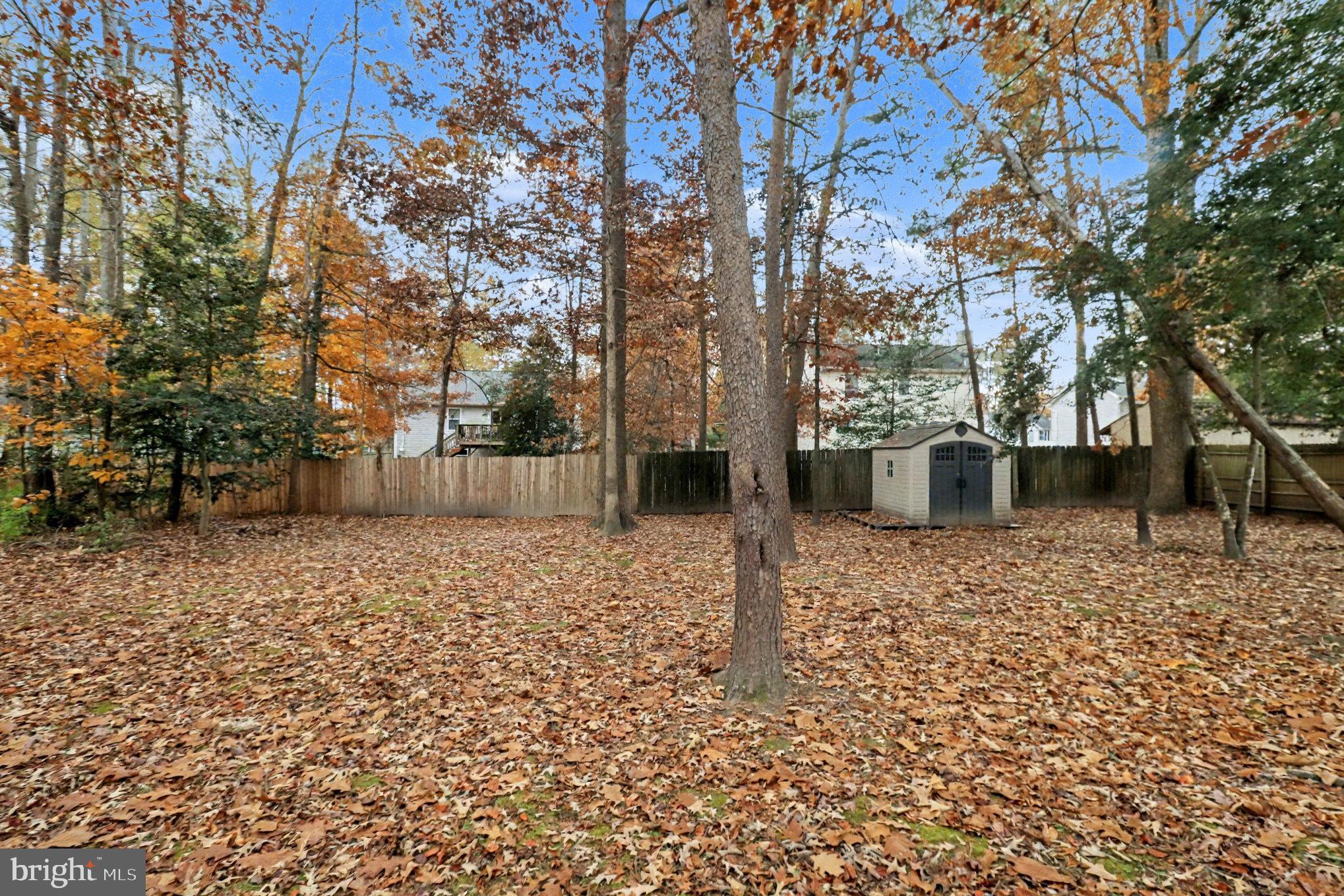 296 Devon Drive Ruther Glen, VA 22546 - Photo 22 of 22 Full backyard