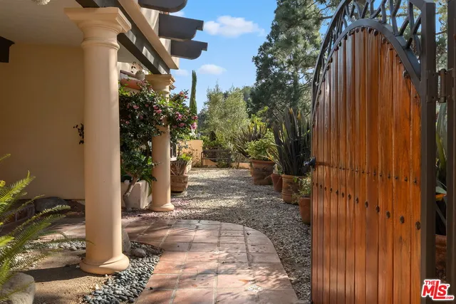 a view of path along with trees