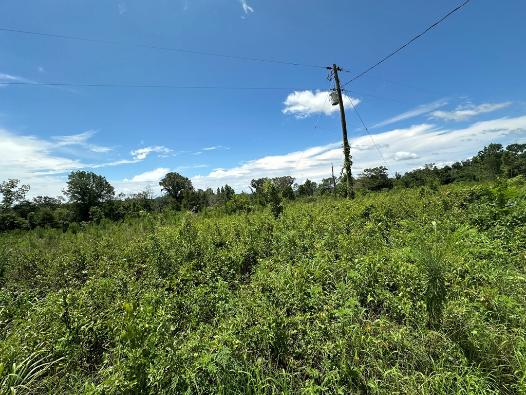 250 Adams Mill Road Clayton, AL 36016 - Photo 24 of 74