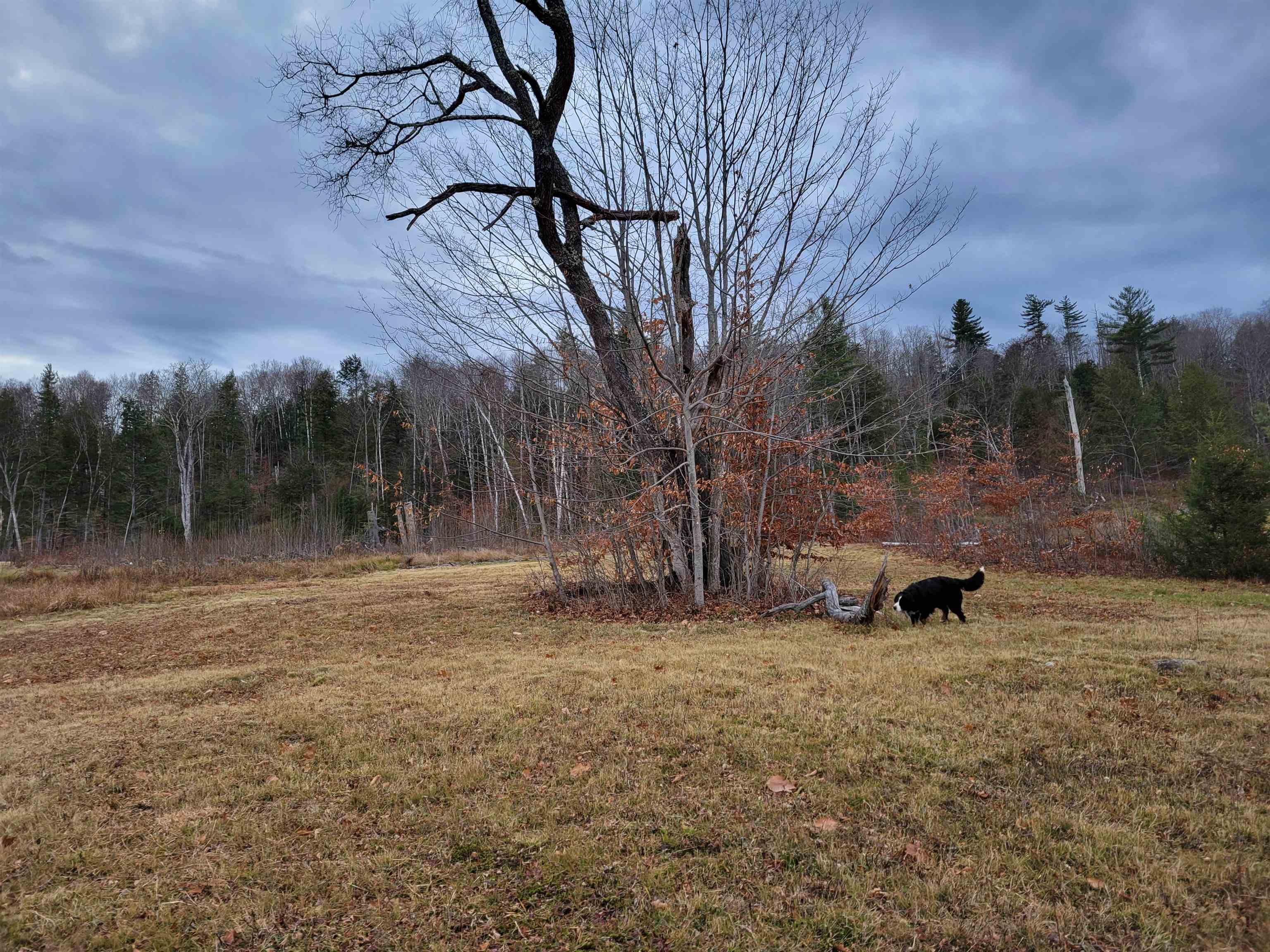 58 Spokefield Road Campton, NH 03223 - Photo 12 of 18
