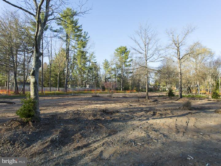 43 Westerly Road Princeton, NJ 08540 - Photo 3 of 10