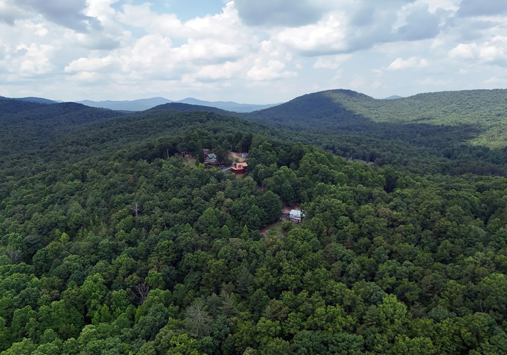 224 Crest Road Blairsville, GA 30512 - Photo 17 of 62