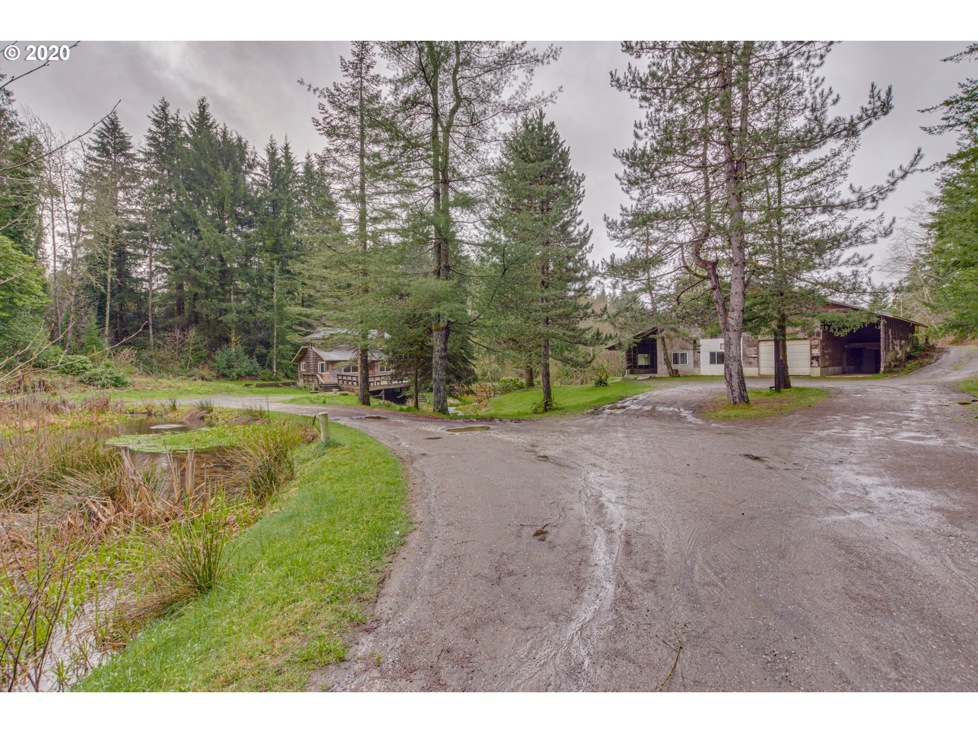 8767 Southeast Bull Run Road Corbett, OR 97019 - Photo 6 of 32 a view of a park with large trees