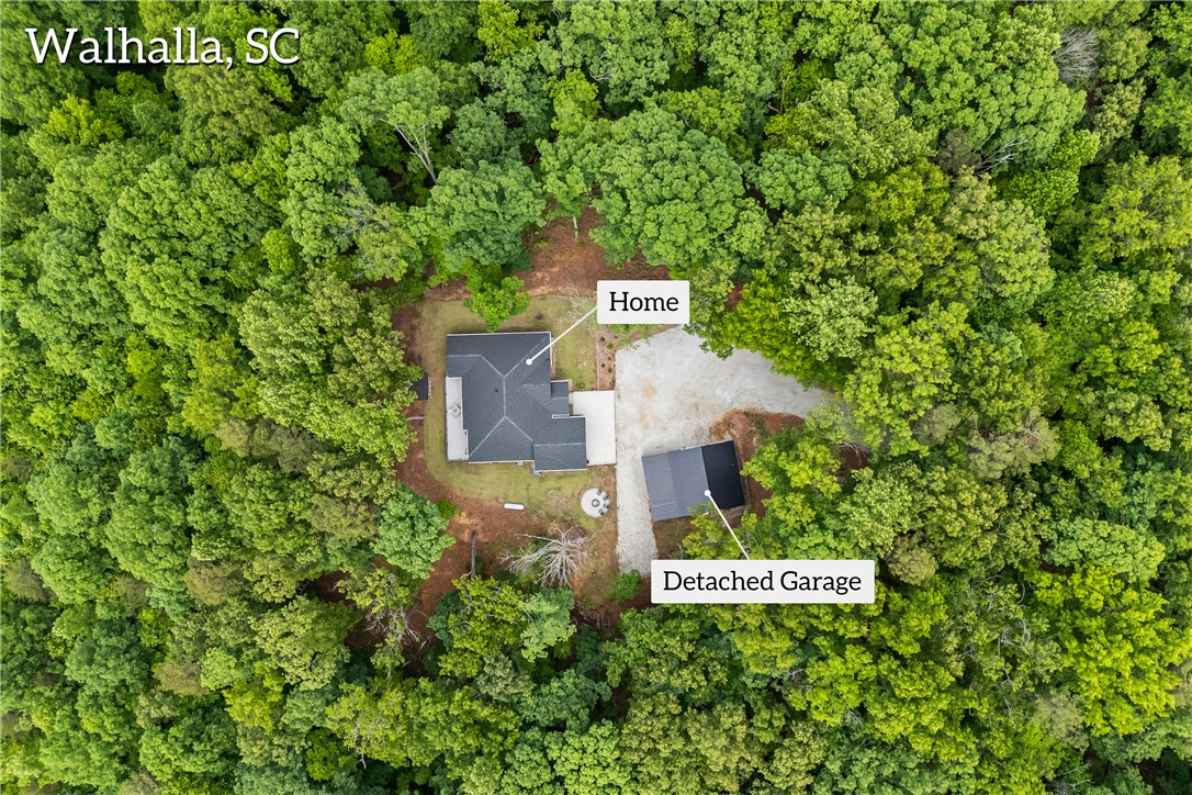 325 Falcons Nest Road Walhalla, SC 29691 - Photo 47 of 50