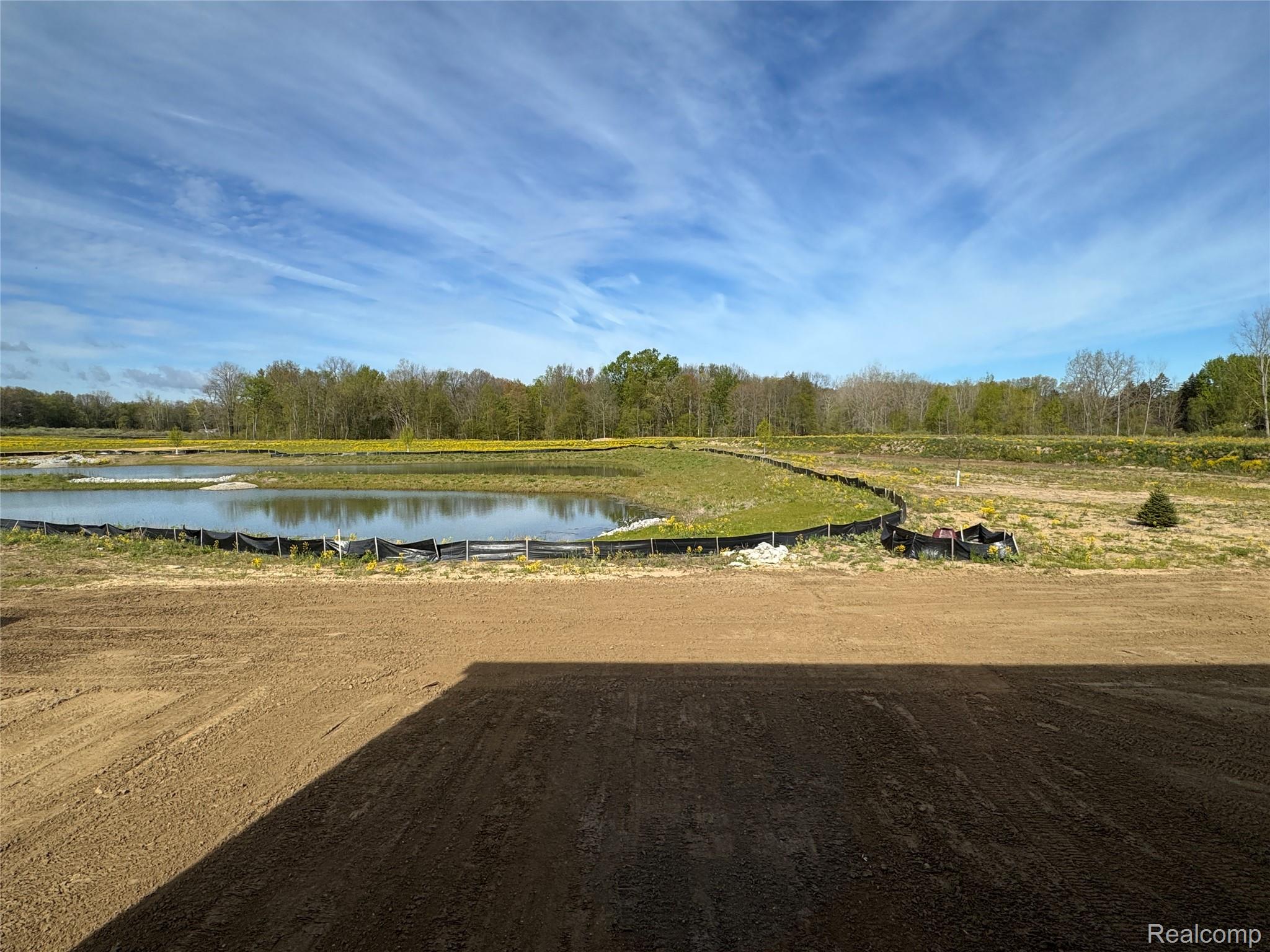 1216 Lockes Street Howell, MI 48843 - Photo 21 of 34 Photo of view from backyard