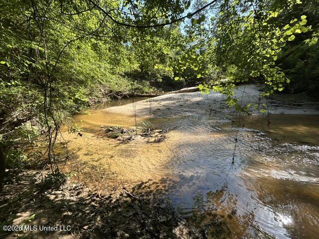 Parker Road Crosby, MS 39633 - Photo 13 of 16 IMG_4222