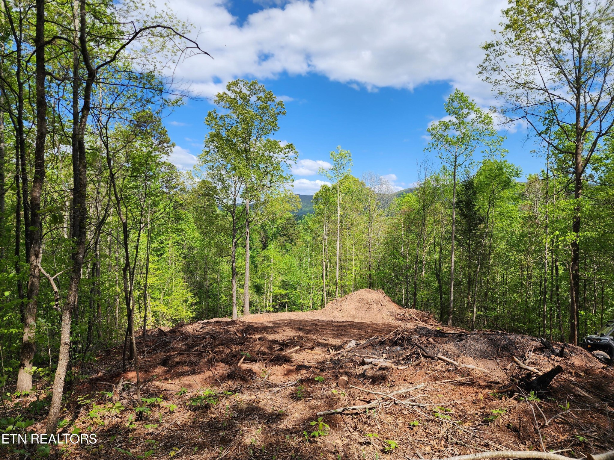 4827 Stump Road Maryville, TN 37803 - Photo 6 of 22 Gallery Image 6