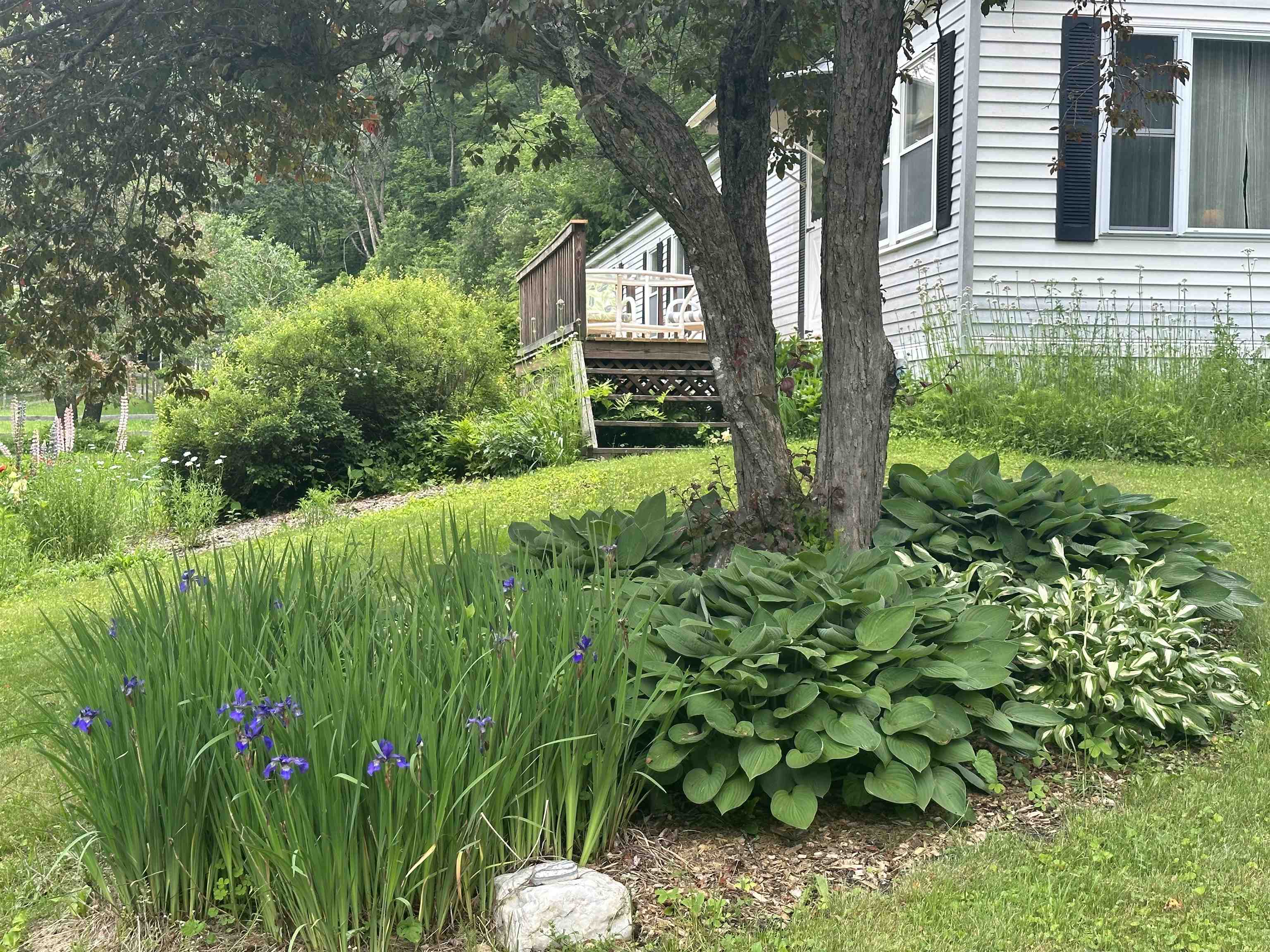 174 Brownsville Road Hartland, VT 05089 - Photo 4 of 20 Gallery Image 4