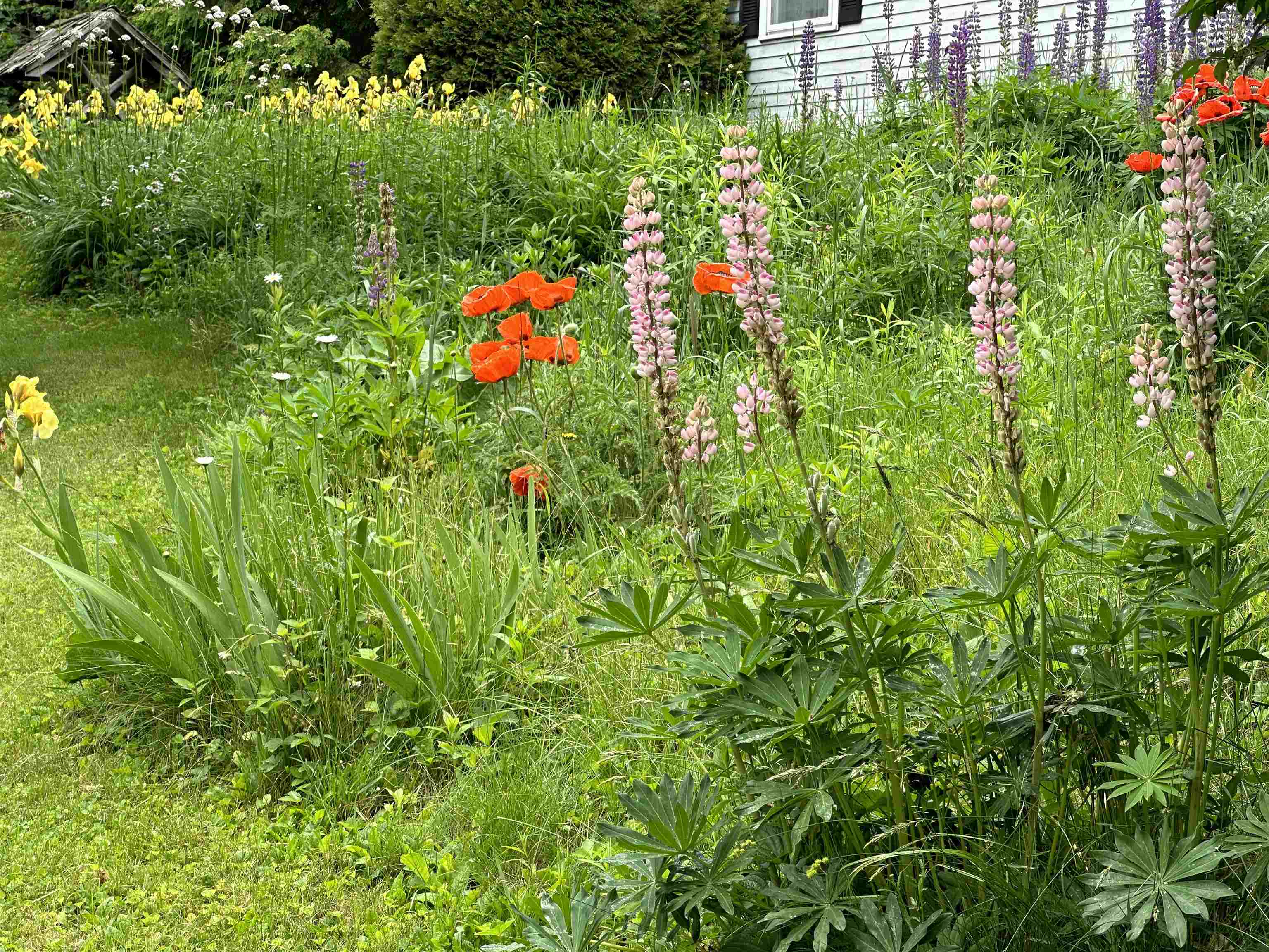 174 Brownsville Road Hartland, VT 05089 - Photo 5 of 20 Gallery Image 5