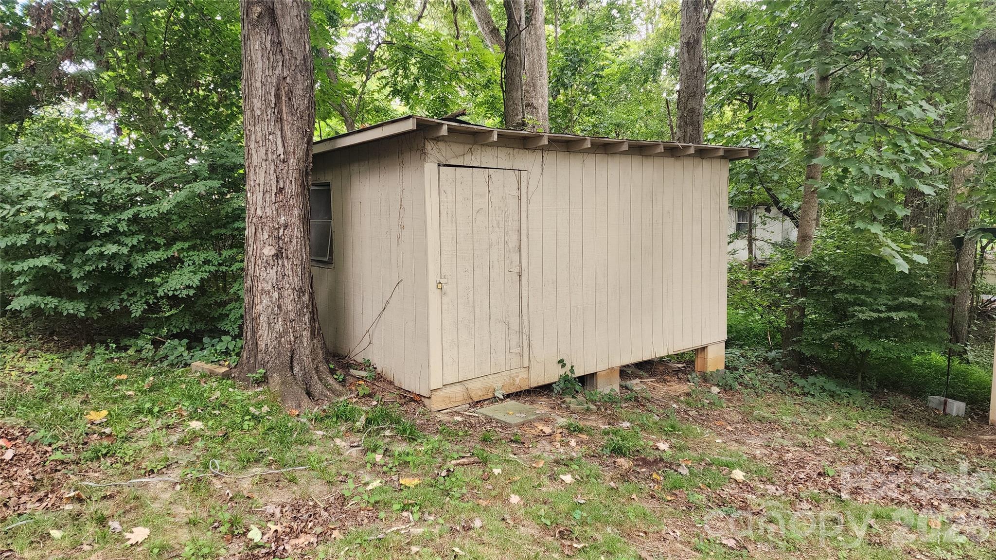 67 Indian Trail Road Candler, NC 28715 - Photo 30 of 31 a wooden bench sitting in middle of forest