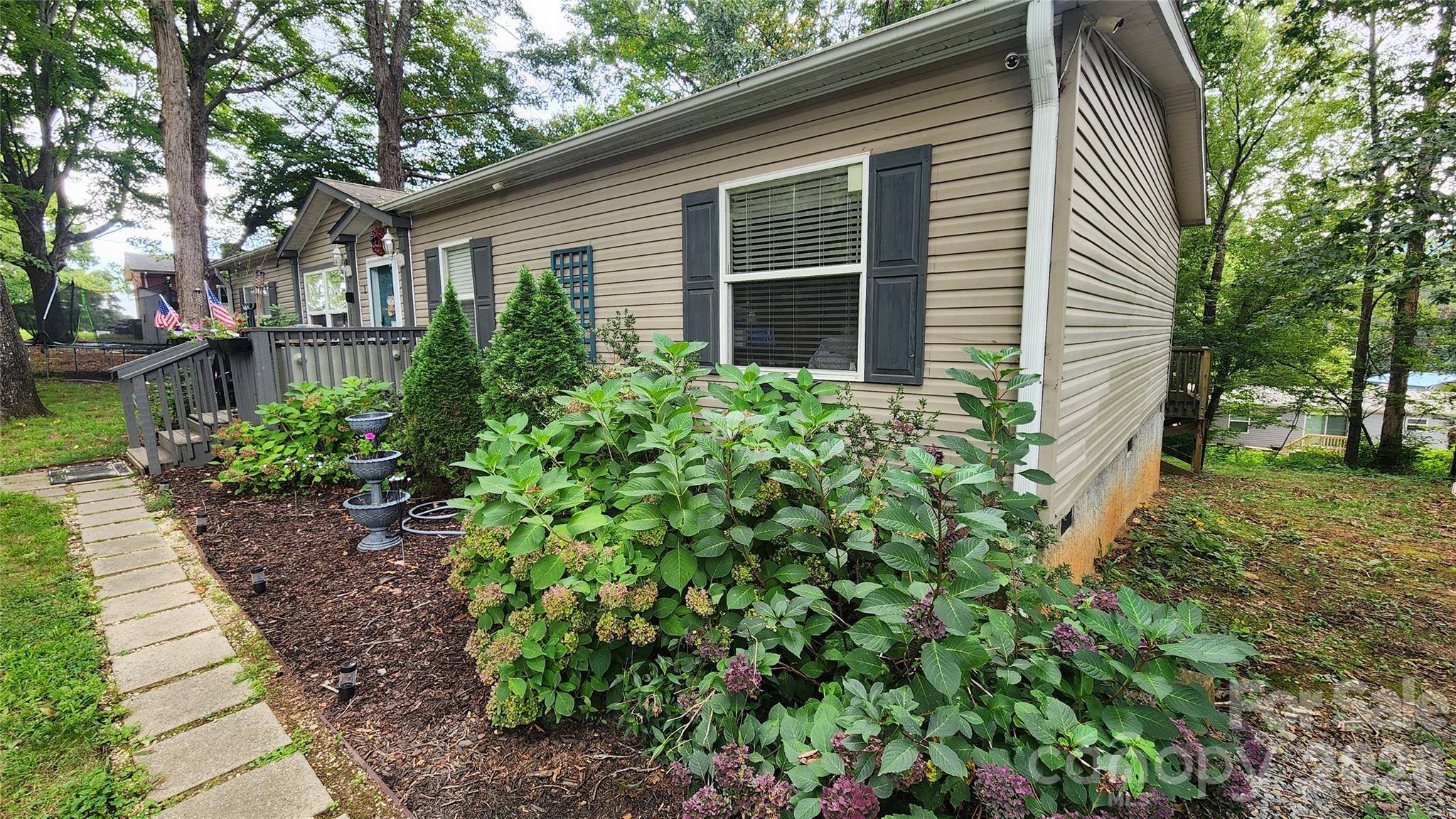 67 Indian Trail Road Candler, NC 28715 - Photo 6 of 31 a house that has a lot of plants in it