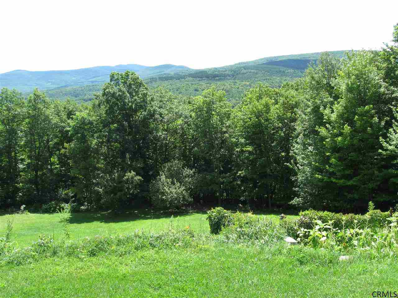 1102 Broome Center Road Broome, NY 12469 - Photo 19 of 23 Photo 19