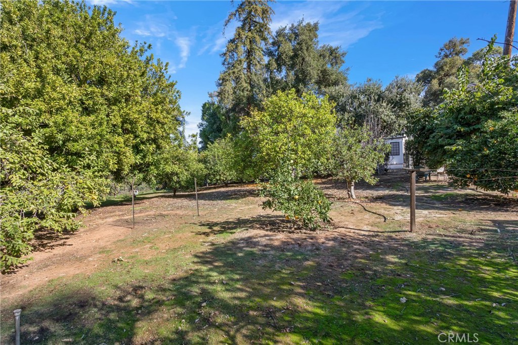 745 West Sunset Drive Redlands, CA 92373 - Photo 21 of 34 a view of backyard