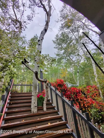 $16,000 | 302 Roaring Fork Drive, Aspen, CO 81611