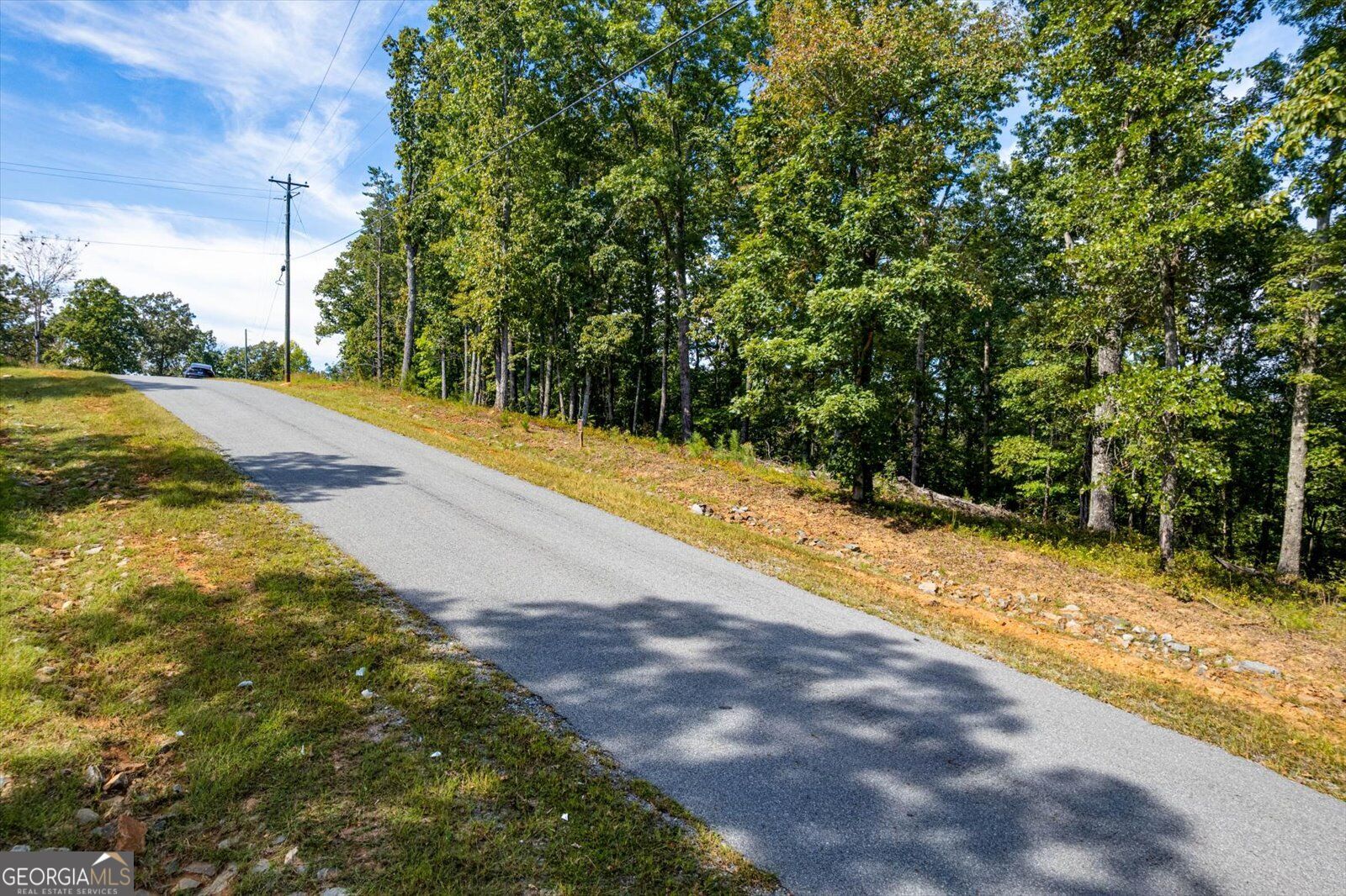 Lot 3 Blalock Mountain Road Talking Rock, GA 30175 - Photo 28 of 31 Gallery Image 28