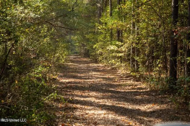 $1,750,000 | Vaughan Rd Road, Vaughan, MS 39179