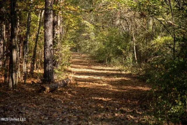 $1,750,000 | Vaughan Rd Road, Vaughan, MS 39179