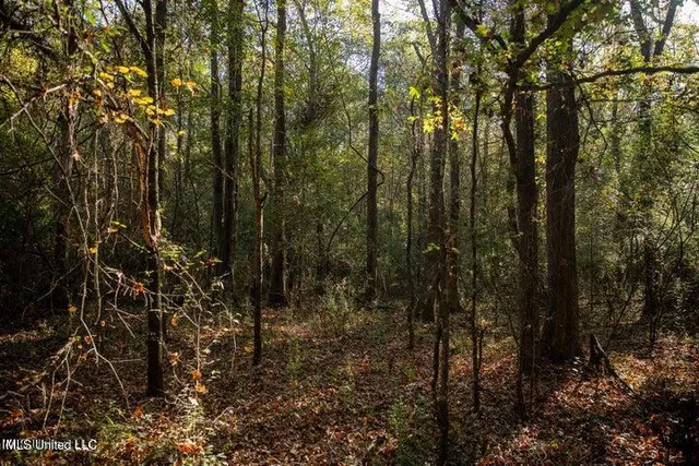 $1,750,000 | Vaughan Rd Road, Vaughan, MS 39179