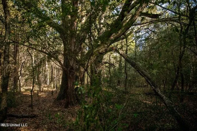 $1,750,000 | Vaughan Rd Road, Vaughan, MS 39179