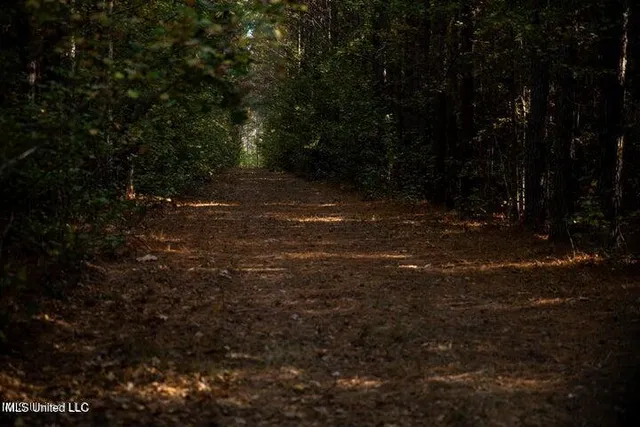 $1,750,000 | Vaughan Rd Road, Vaughan, MS 39179