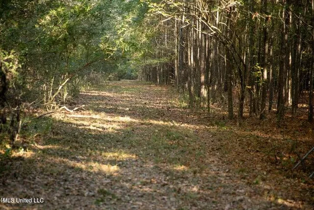 $1,750,000 | Vaughan Rd Road, Vaughan, MS 39179