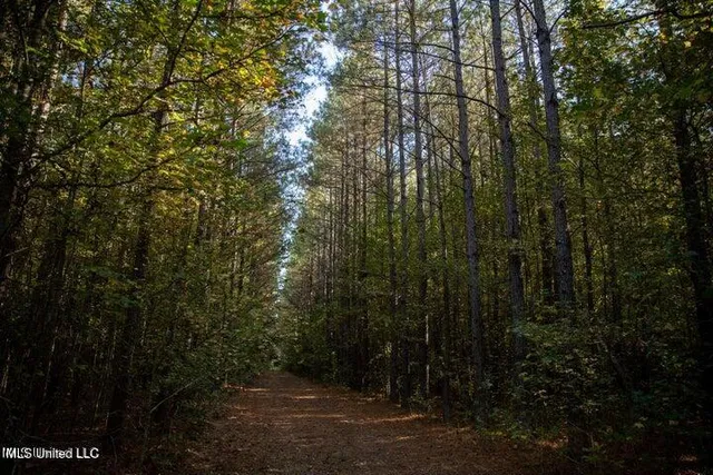 $1,750,000 | Vaughan Rd Road, Vaughan, MS 39179