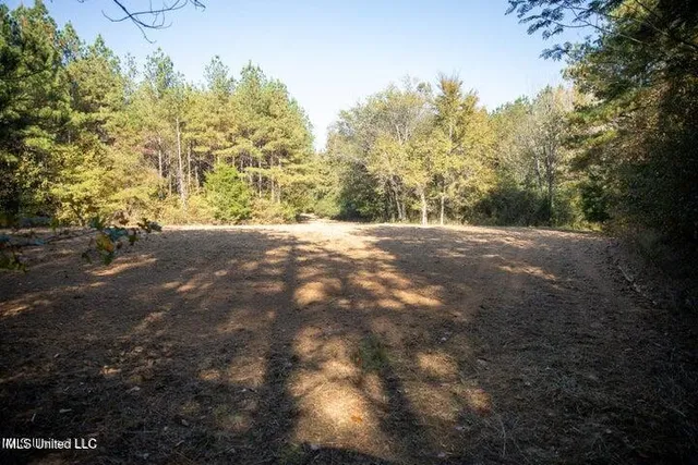 $1,750,000 | Vaughan Rd Road, Vaughan, MS 39179