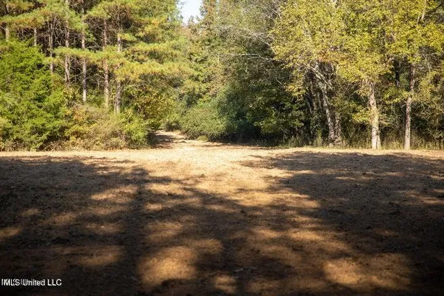 $1,750,000 | Vaughan Rd Road, Vaughan, MS 39179