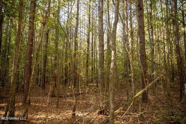 $1,750,000 | Vaughan Rd Road, Vaughan, MS 39179