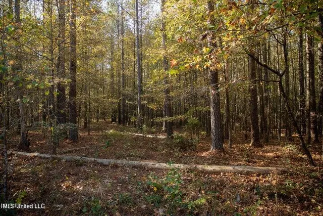 $1,750,000 | Vaughan Rd Road, Vaughan, MS 39179