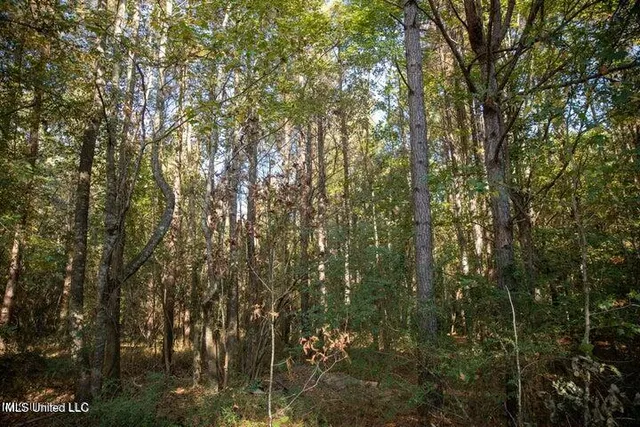 $1,750,000 | Vaughan Rd Road, Vaughan, MS 39179